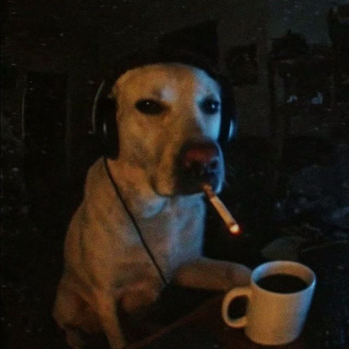 BajsTEKK