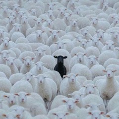 dolcegabbana (feat. okayhotspot)