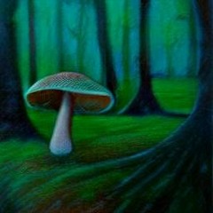 Gnome Music 6: Shroom N Bass