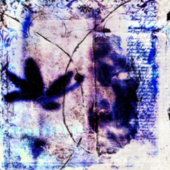 нет модной одежды (by зеркало, sqftyboy)