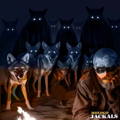 Jackals