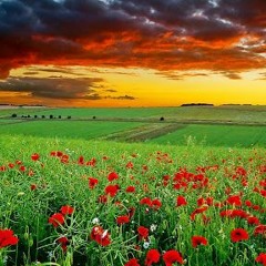 Adorasyon Lakay | Louange & Adoration