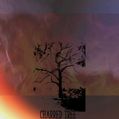 Charred tree