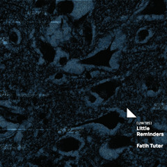 Who is fooling who? preview