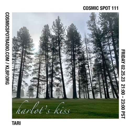 Cosmic Spot 111 - Tari