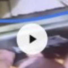 [Original Video Mới Nhất] clip chặt đầu nguyễn xuân đạt và đao phủ nguyễn xuân đạt lạng sơn clip gốc