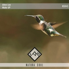 Allen Lee - Wake Up! (Original Mix)