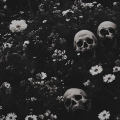 Elixir II : Dark elements