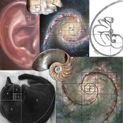 Medicine Meditation Celebration