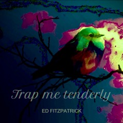 Trap Me Tenderly