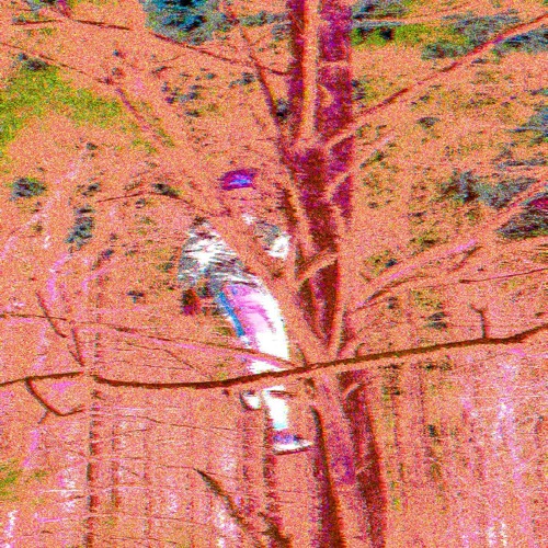 Proj16_6-04 New Sample CHOP!!DEMO.WAV