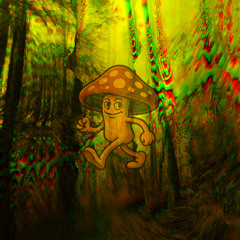 Mushroom Walk