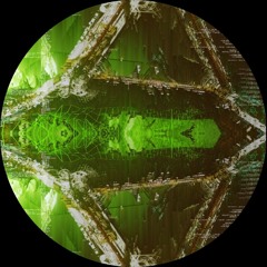 Moon Walker ( Live Extract )