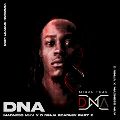 Mical Teja - DNA (Madness Muv X D Ninja Roadmix Part 2) (144bpm)