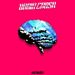 Brain Crash
