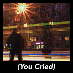 When I Saw You (You Cried)