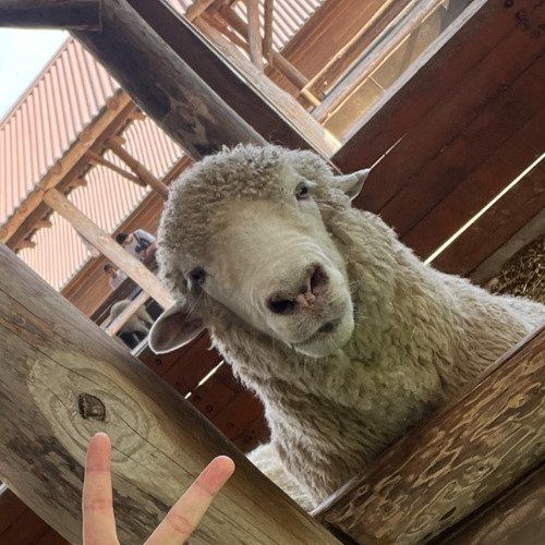 Granfeliz presents: I came to pyeongchang and geek up all night!