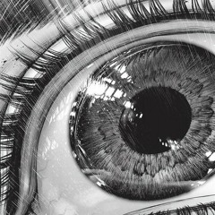 ✣#Graduation Clips✣ ◈Ft. Oiwa ◈ Recyclebin ◈ Kyuu ◈ Shlain ◈ Seph ◈ ✣++Digiton++✣