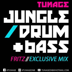 Fritz [Tunage] - Symbiosis Promo Mix Nov 2024
