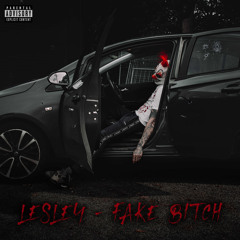 Fake Bitch