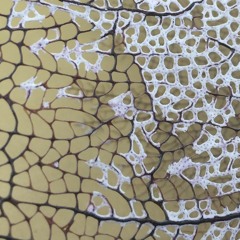 Death Of A Nation (prod. Masked Man)