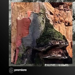 Premiere: Olivan - Hundred Years (Nhii Remix) - Bunte Kuh