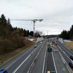 Wildtierüberführung A2 Neuenkirch