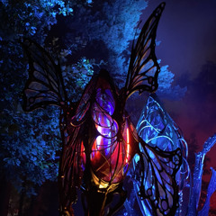 PSYTRANCE Moona @ Nocturn Psychedelic Vol. 6