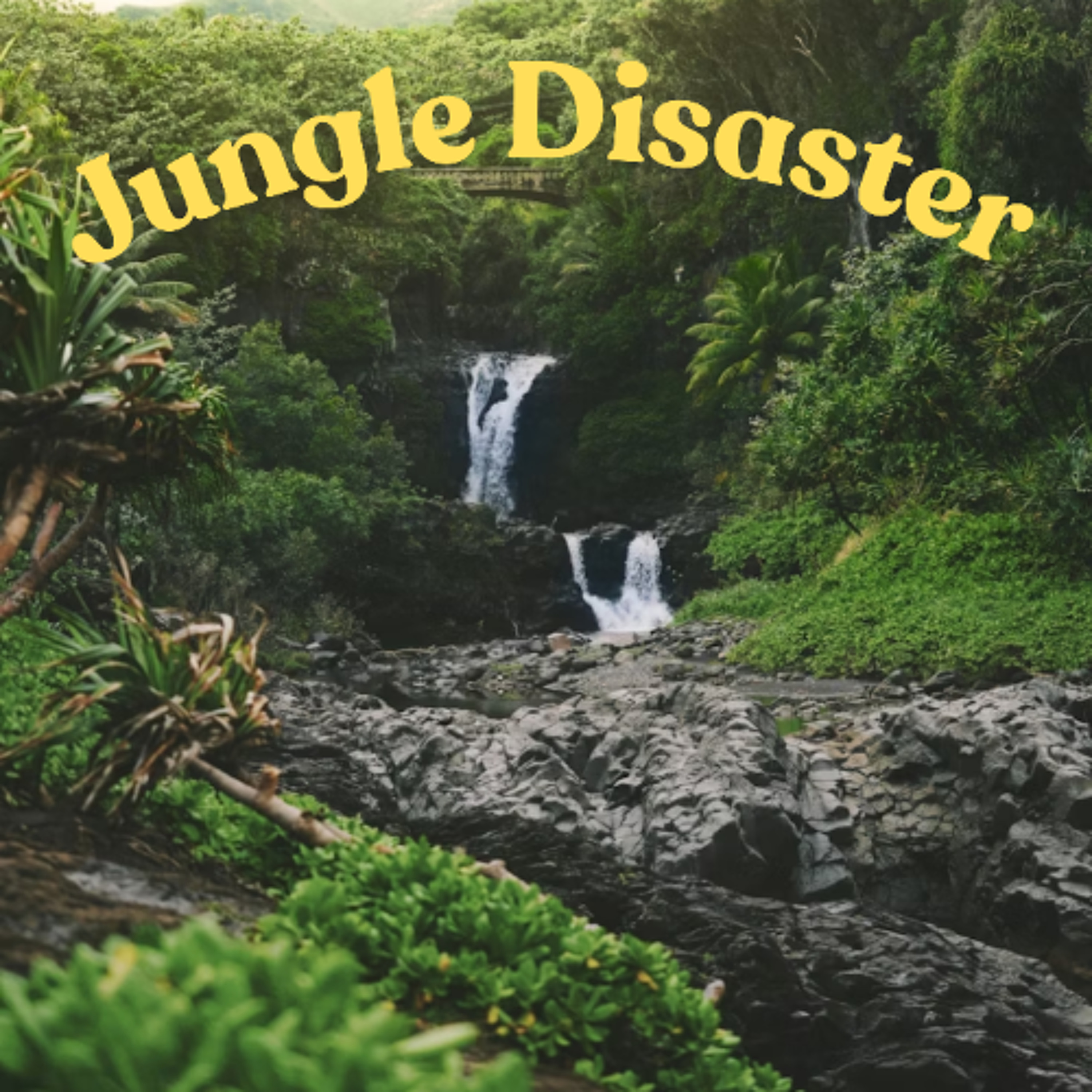 Jungle Disaster - Aaliyah, Elliot, Harrison and Jasmine - School of the Nativity