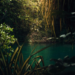 At the oasis in the jungle - Part 5