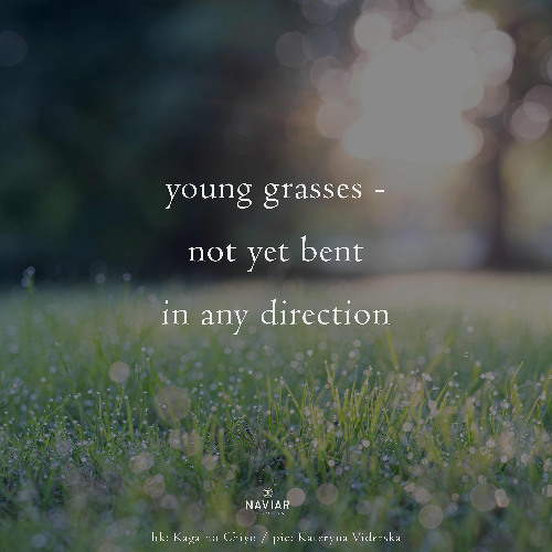 Anarchic_Naviarhaiku608