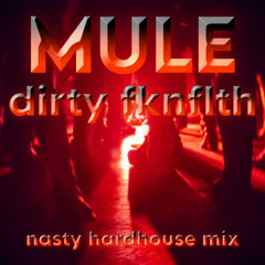 MULES DIRTY FKNFLTH MIX