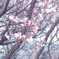 200405 설명할 순 없어 느낄수는 있어도