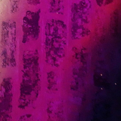 Orbit (Demo)