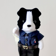 рома плагнб