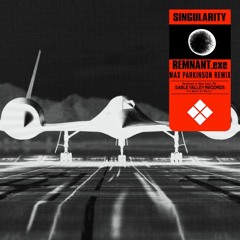 Remnant.exe - Singularity (Max Parkinson Remix) [Downloads Enabled]