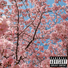 Sakura (feat. AhloVera & Vanillatino)