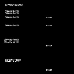 Cottage Wonton - Falling Down