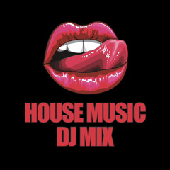 House Mix 14 (Britney Spears | Jack Harlow | Lil Wayne | Tony Igy | DJ Kuba | Jay Z | Kanye West)