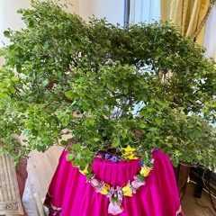 Hare Krisna Mahamantra Kirtan