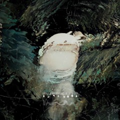 Daver Knud - Gliese 581g