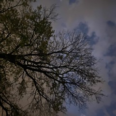 A Collection Of Thoughts From Last Nights Breakdown (Prod.King Theta)