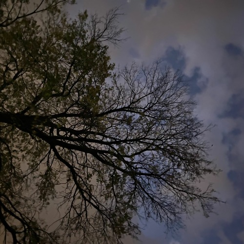 A Collection Of Thoughts From Last Nights Breakdown (Prod.King Theta)