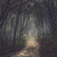 Forest in forest #1