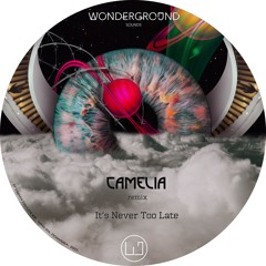 PREMIERE: Io:za - It's Never Too Late (Camelia Remix) [WNG016]