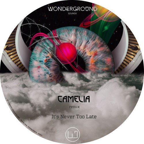 PREMIERE: Io:za - It's Never Too Late (Camelia Remix) [WNG016]