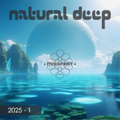 ND2025-1
