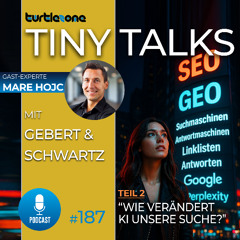 Turtlezone Tiny Talks - Wie verändert KI unsere Suche? (Teil 2)