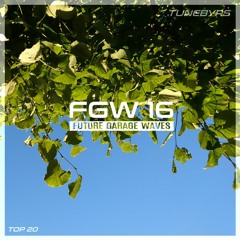 Future Garage Waves (FGW16)