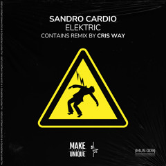 Sandro Cardio - Elektric (Original Mix)